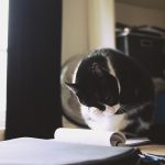 Где искать вакансии для фрилансеров в Волгограде и какие навыки востребованы images302.jpg