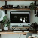 Как выбрать платформу для фрилансеров-переводчиков: обзор лучших бирж и советы по безопасной работе unsplash_384.jpg